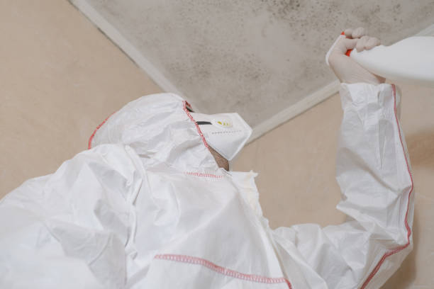 Best Toxic Mold Removal  in Lakin, KS