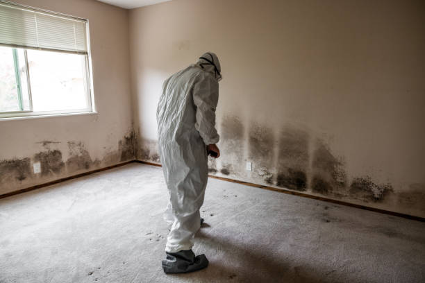 Best Crawl Space Mold Removal  in Lakin, KS