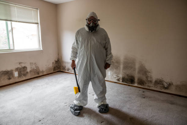 Best Emergency Mold Removal  in Lakin, KS